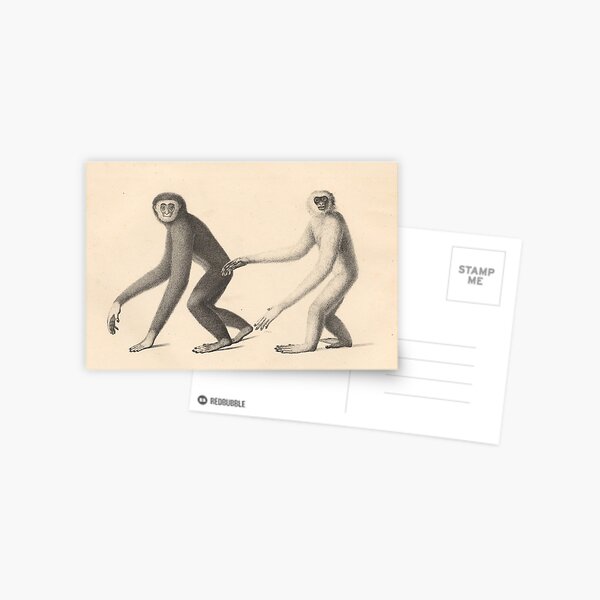 Item preview, Gibbons from "Natural History and Illustrations of Mammals" by Heinrich Rudolf Schinz, 1824 designed and sold by mariapopova.