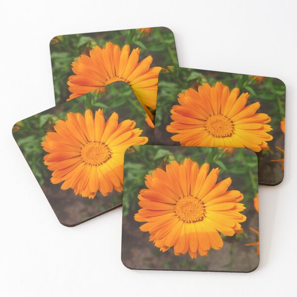 Item preview, Calendula designed and sold by Sky-99.