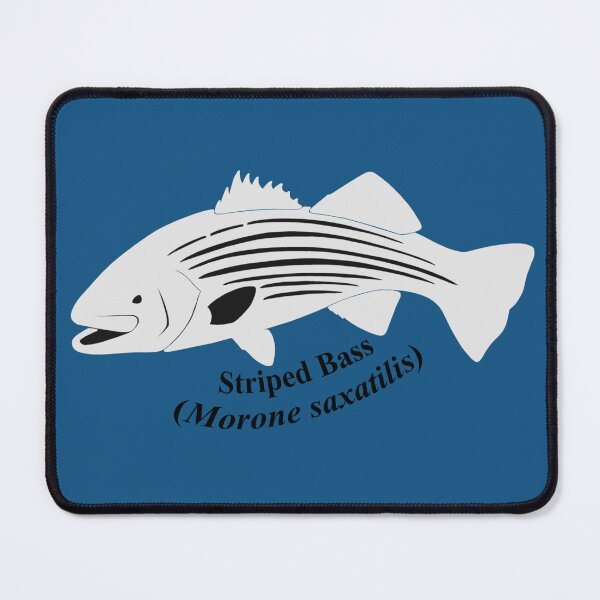 Item preview, Stylized Striped Bass Logo (Named) designed and sold by JayceTheCC.