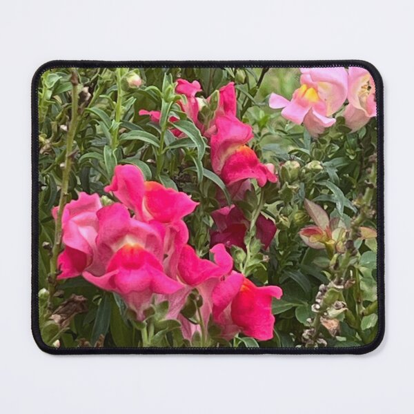 Item preview, Radiant Snapdragon Symphony designed and sold by SkyrozeTs.