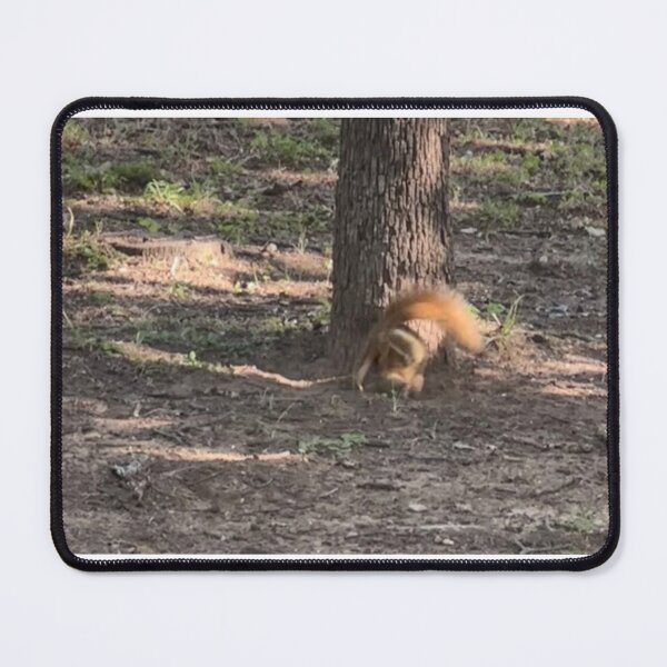 Item preview, Even Squirrels have Mondays designed and sold by WhispFeathers.