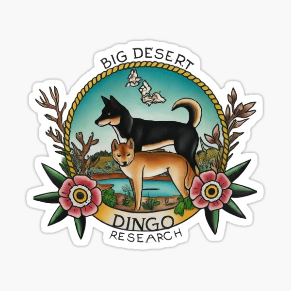 Big Desert Dingo Research- 2 Dingoes Sticker