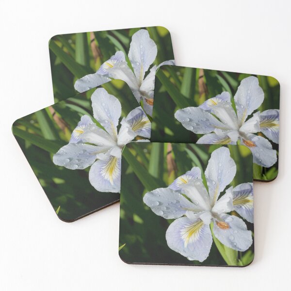 Item preview, Damp Orchid  designed and sold by D-GaP.