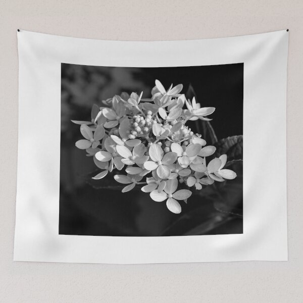 Item preview, Monochrome photo of hydrangeas  designed and sold by Cblifeisgood.