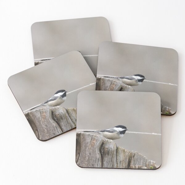 Item preview, Black-capped Chickadee  designed and sold by Cblifeisgood.