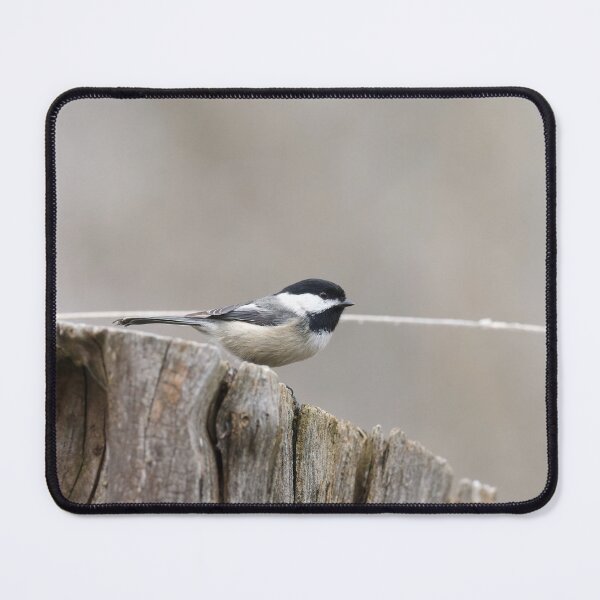 Item preview, Black-capped Chickadee  designed and sold by Cblifeisgood.
