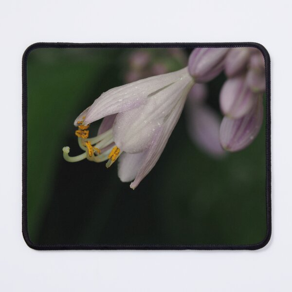 Item preview, Hosta petal designed and sold by Cblifeisgood.