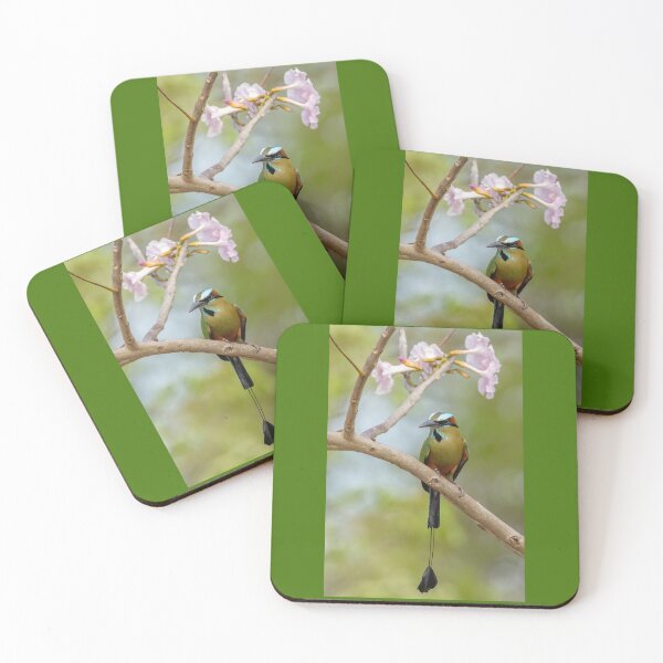 Item preview, Turquoise-browed motmot designed and sold by Shannon Emmel .