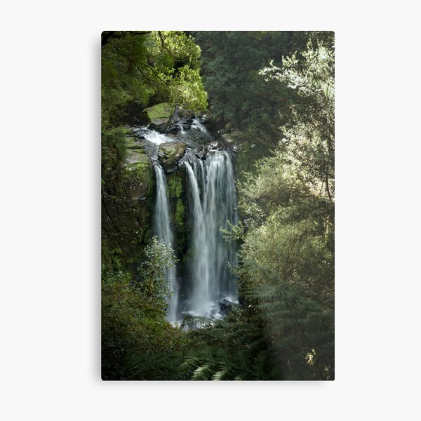 Hopetoun Falls, upper view ~ Otway National Park Metal Print