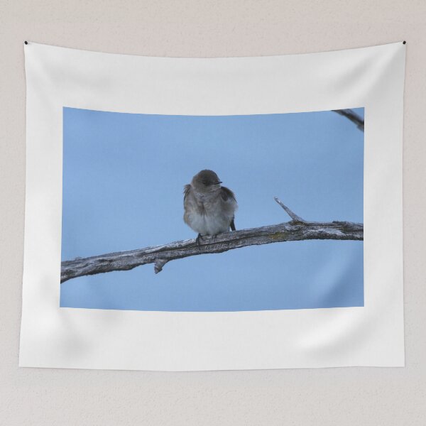 Item preview, Bank Swallow designed and sold by Alyce Taylor.