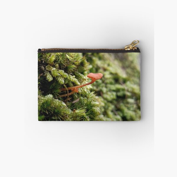 Item preview, Orange moss navel (Rickenella fibula) designed and sold by Jimbo McCoy.