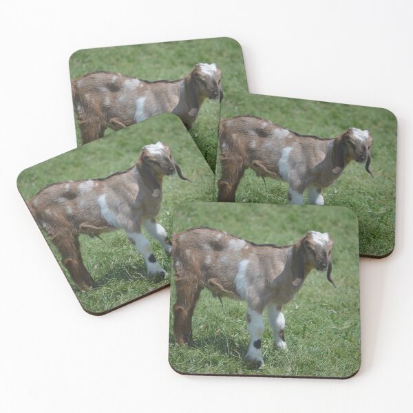 Item preview, Spotted Nubian Goat kid Goliath looking cute for the girls.   designed and sold by RobynPeters1836.