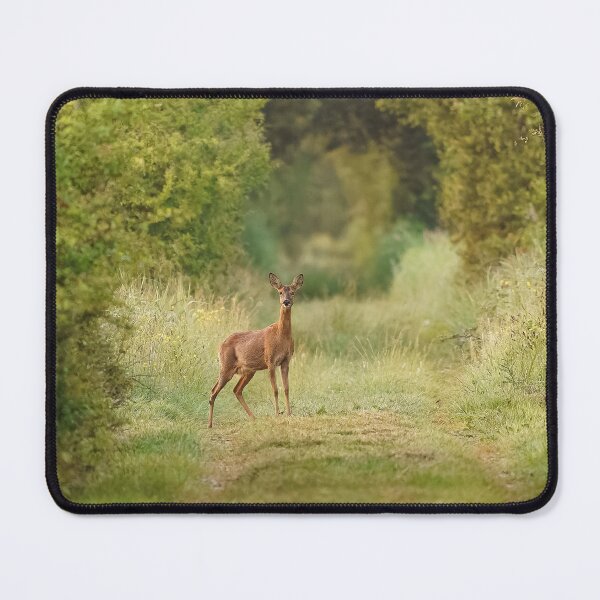 Item preview, Beautiful doe caught on the spot. designed and sold by marierlaure.