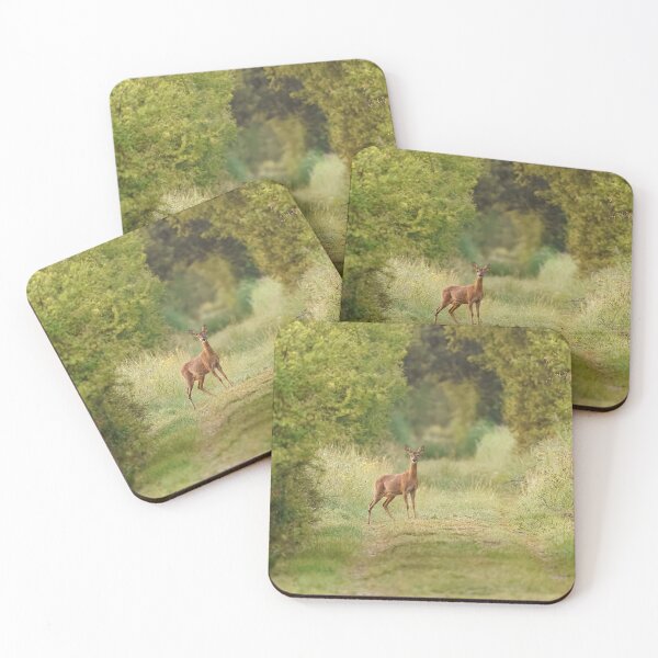 Item preview, Beautiful doe caught on the spot. designed and sold by marierlaure.