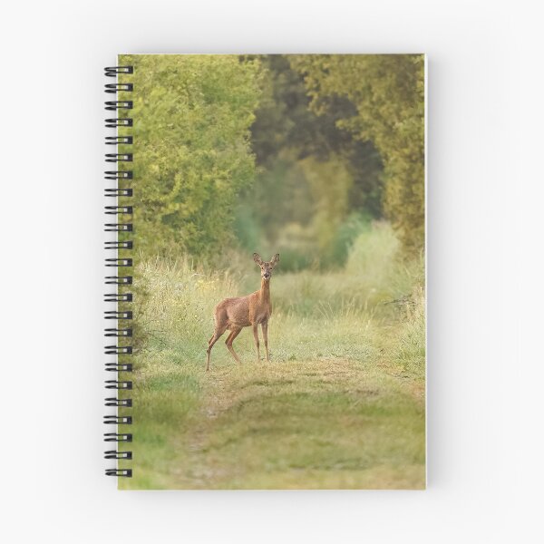 Item preview, Beautiful doe caught on the spot. designed and sold by marierlaure.