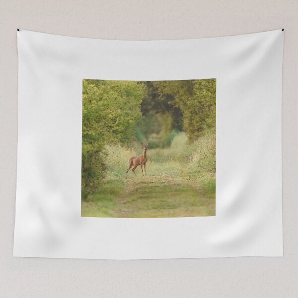 Item preview, Beautiful doe caught on the spot. designed and sold by marierlaure.