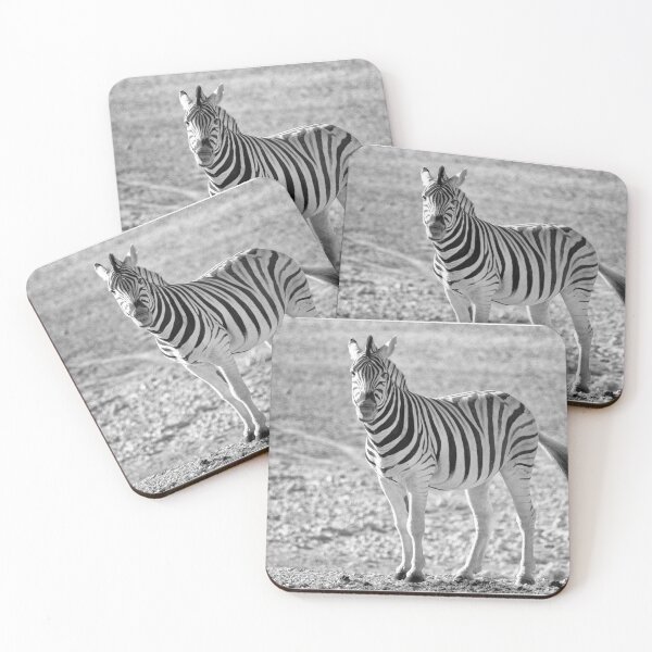 Item preview, Zebra in Etosha NP, Namibia designed and sold by Photopat.