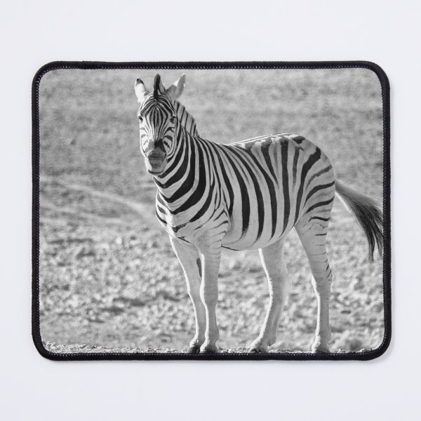 Item preview, Zebra in Etosha NP, Namibia designed and sold by Photopat.
