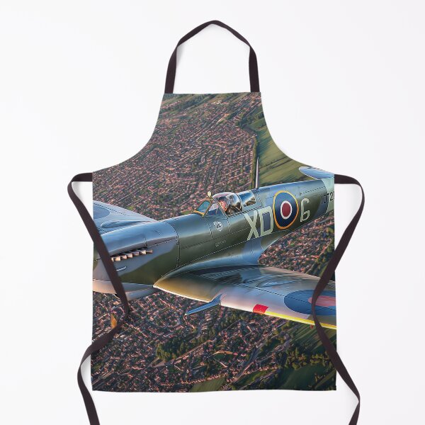 Item preview, Eagles Shadow designed and sold by Skyframe Aviation.