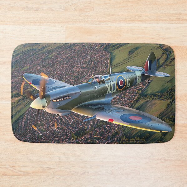 Item preview, Eagles Shadow designed and sold by Skyframe Aviation.