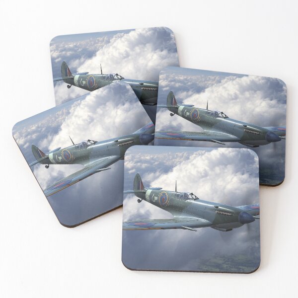 Item preview, Skyborne Warrior designed and sold by Skyframe Aviation.