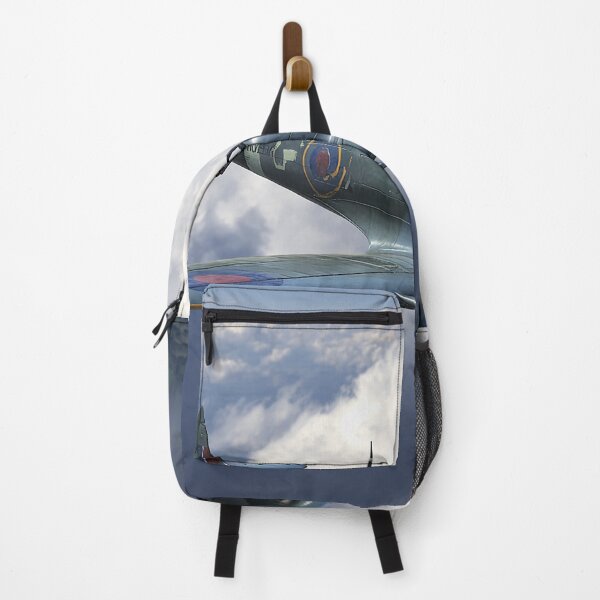 Item preview, Skyborne Warrior designed and sold by Skyframe Aviation.