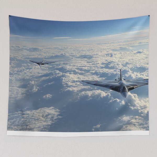 Item preview, Delta Duo designed and sold by Skyframe Aviation.