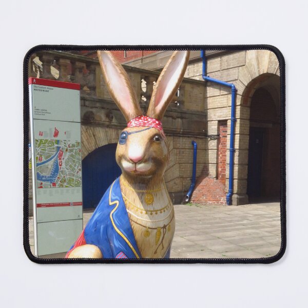 Item preview, Pirate Hare, Ipswich designed and sold by wiggyofipswich.