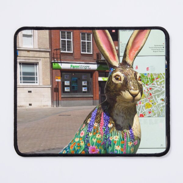 Item preview, Hare 29, Ipswich Town Centre designed and sold by wiggyofipswich.