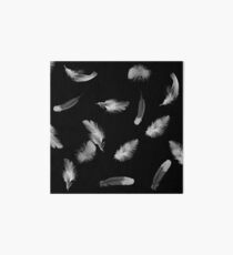 Scattered Feathers Art Board