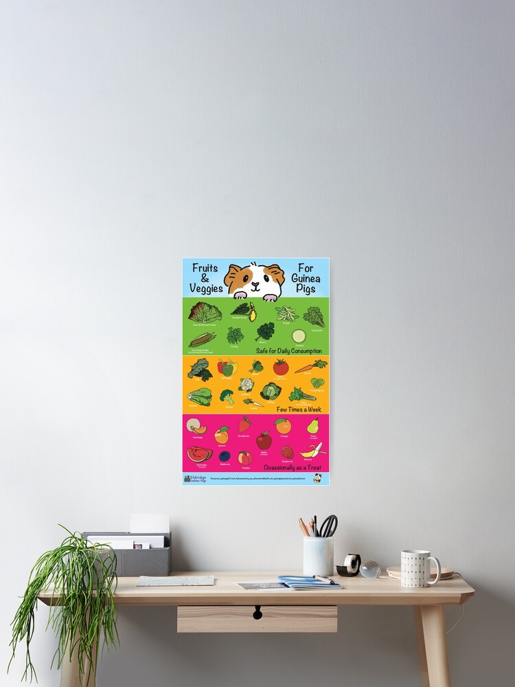 Fruits and Veggies for Guinea Pigs Infographic - V2 Poster
