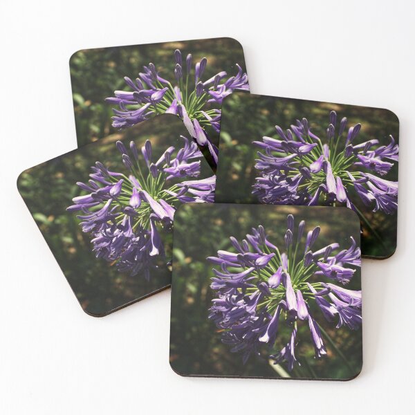 Item preview, African Lily of Love designed and sold by CalwynsCaptures.