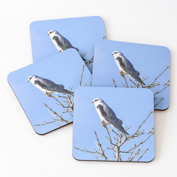 Item preview, Perched in Winter Silence designed and sold by ViktoriaLens.