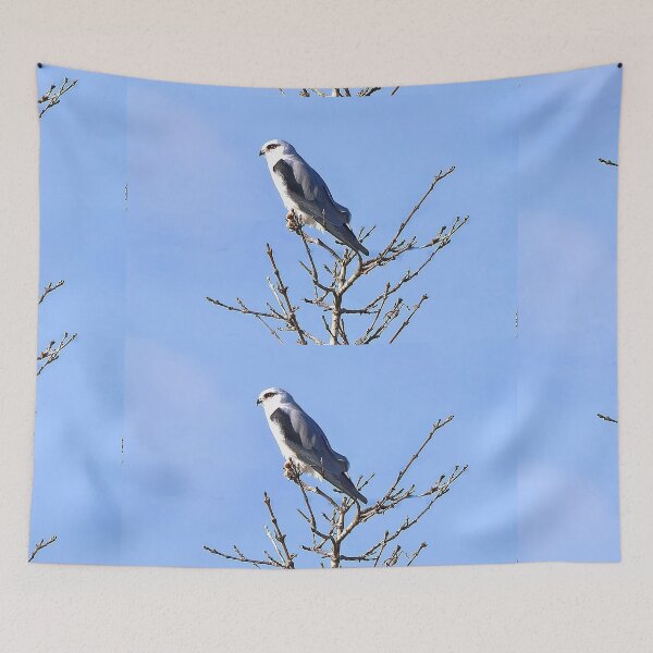 Item preview, Perched in Winter Silence designed and sold by ViktoriaLens.