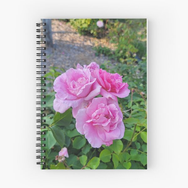 Item preview, Pink roses designed and sold by Lavenderpeachs.