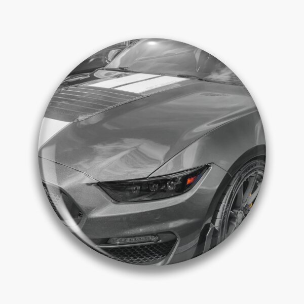 Item preview, 2016 Gray Ford Shelby Mustang GT350 X100 designed and sold by RichFrancoCars.
