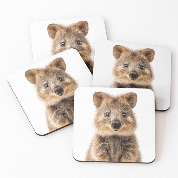 Item preview, Adorable Baby Quokka for Cute Quokka lovers designed and sold by LazyOwlStore.