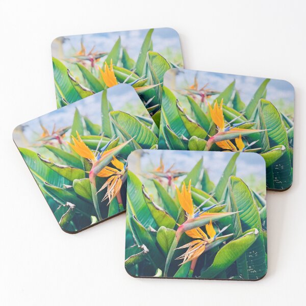 Item preview, Bird of Paradise Flower designed and sold by AtlasInFocus.