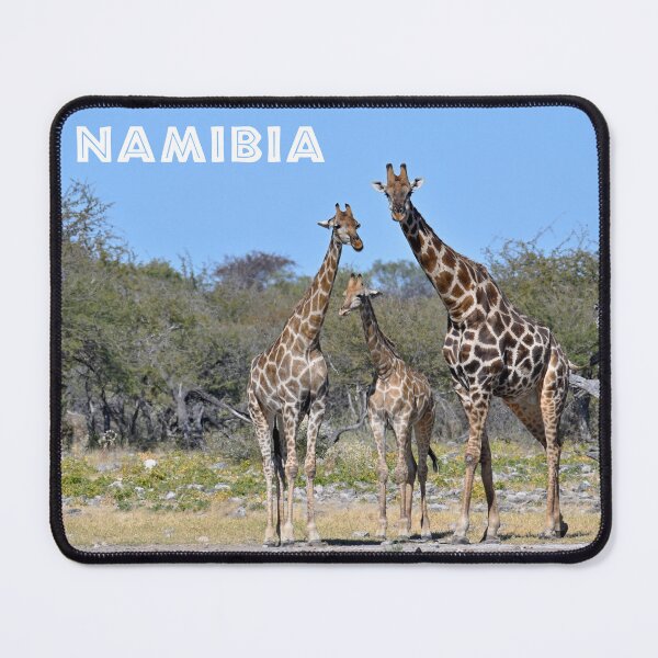 Item preview, Giraffes, Family, Namibia. Original photography designed and sold by studio838.