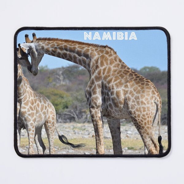 Item preview, Giraffes, Namibia. Original photography designed and sold by studio838.