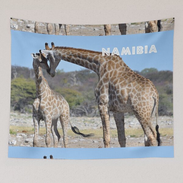 Item preview, Giraffes, Namibia. Original photography designed and sold by studio838.
