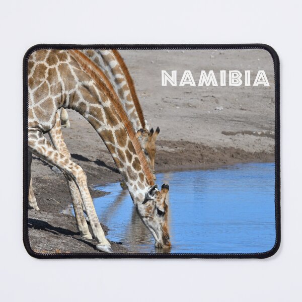Item preview, Giraffes drinking water, Namibia. Original photography designed and sold by studio838.