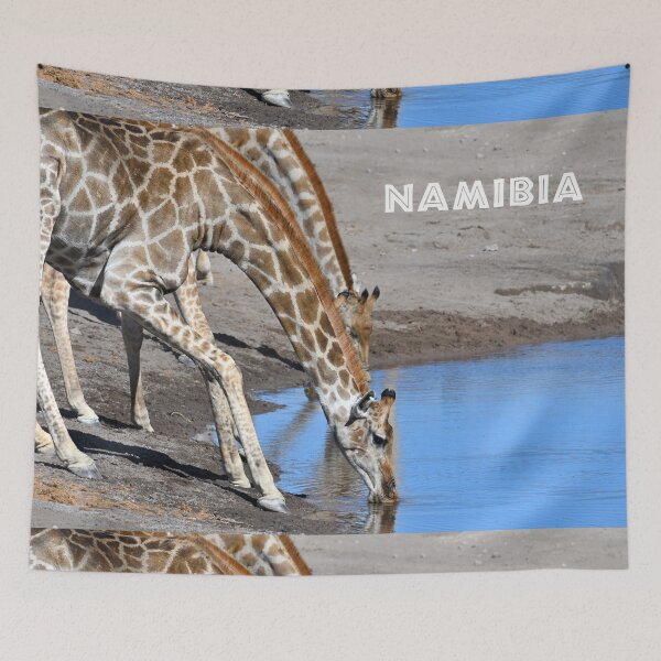 Item preview, Giraffes drinking water, Namibia. Original photography designed and sold by studio838.