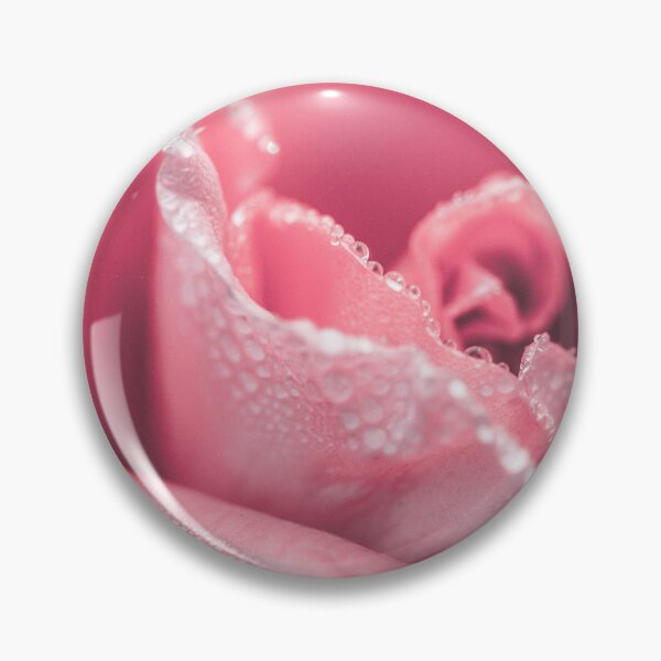 Item preview, Pink rose with dew drop  designed and sold by Chirayu1111.