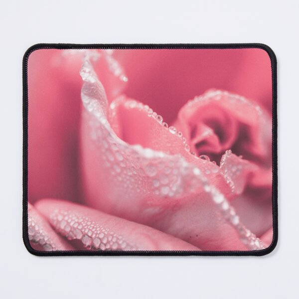 Item preview, Pink rose with dew drop  designed and sold by Chirayu1111.