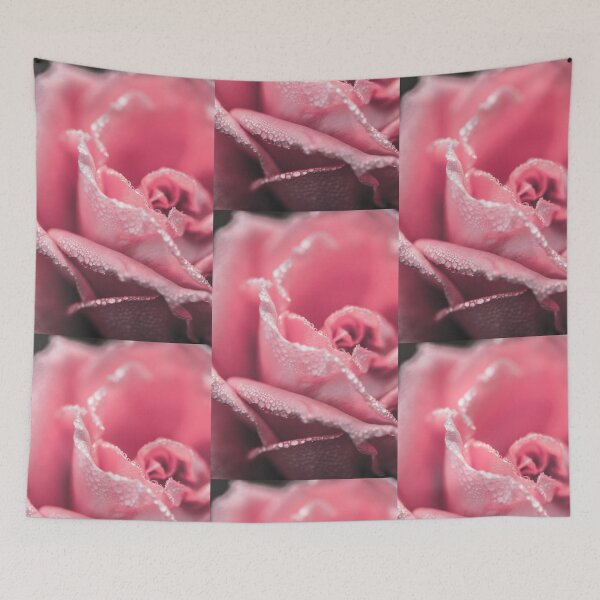 Item preview, Pink rose with dew drop  designed and sold by Chirayu1111.