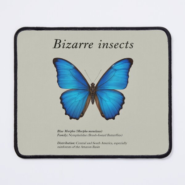 Item preview, Bizarre insects designed and sold by HiresFilm.