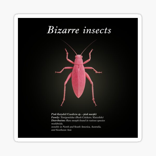 Item preview, Bizarre insects designed and sold by Sienna Design.