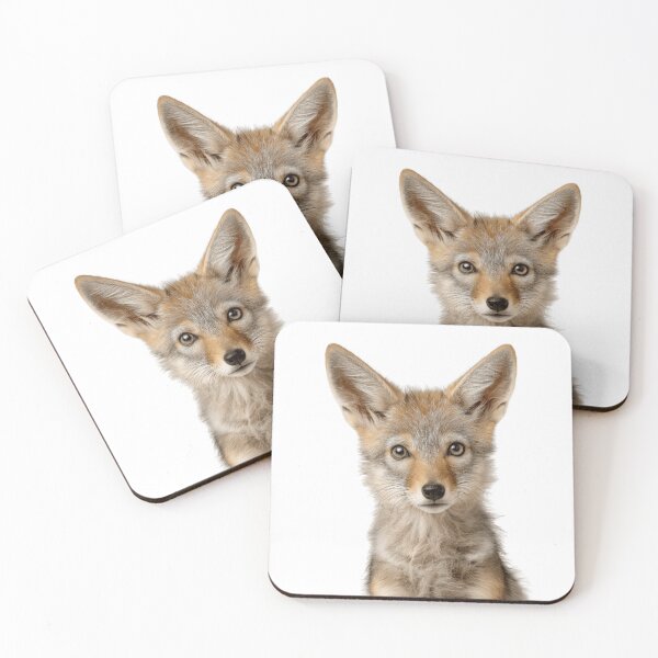 Item preview, Adorable Baby Jackal for Cute Jackal lovers designed and sold by LazyOwlStore.