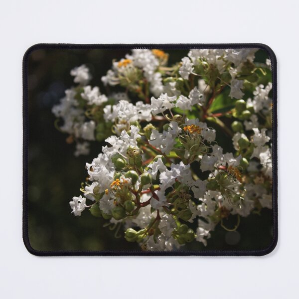 Item preview, White Crape Myrtle Flowers designed and sold by CalwynsCaptures.